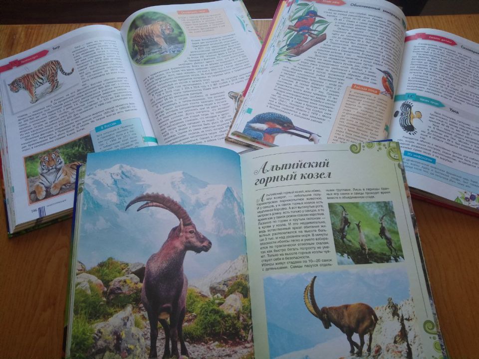 Сегодня в нашем Строгановском Доме культуры прошло познавательное мероприятие «Красная книга» Сегодня в нашем Строгановском Доме культуры прошло познавательное мероприятие «Красная книга»