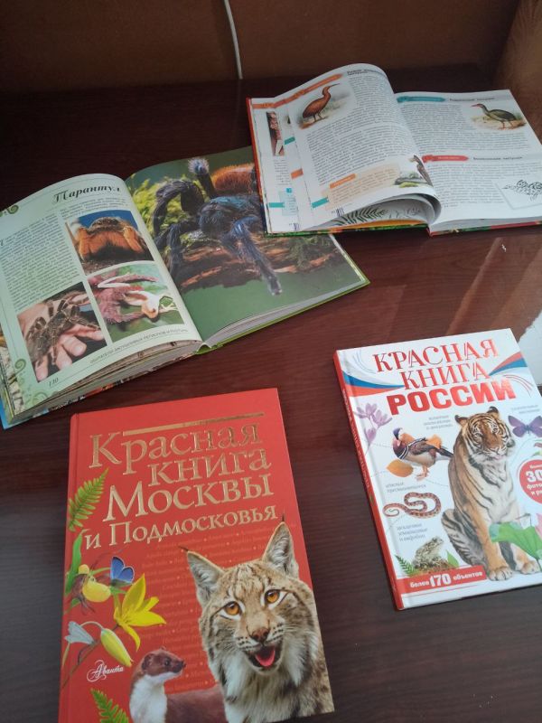 Сегодня в нашем Строгановском Доме культуры прошло познавательное мероприятие «Красная книга» Сегодня в нашем Строгановском Доме культуры прошло познавательное мероприятие «Красная книга»