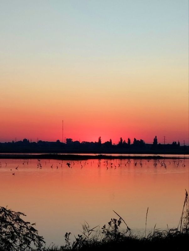     (     )   ,   &quot;  -  &quot;