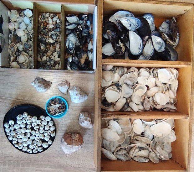 Лето – любимое время года детворы Лето – любимое время года детворы