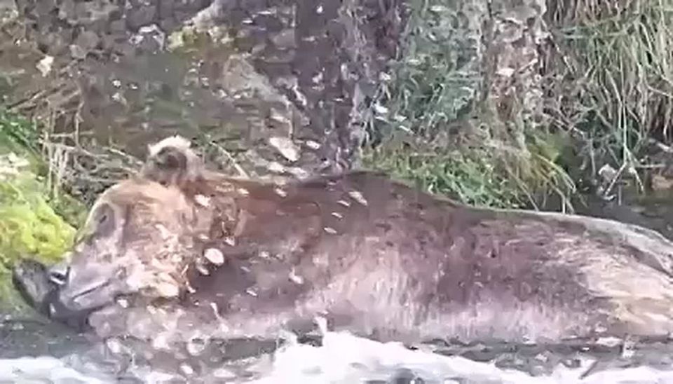 Когда устал настолько, что происходящее вокруг неважно