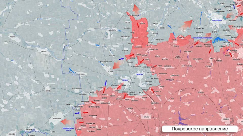 Олег Царёв: Фронтовая сводка 20 августа Олег Царёв: Фронтовая сводка 20 августа