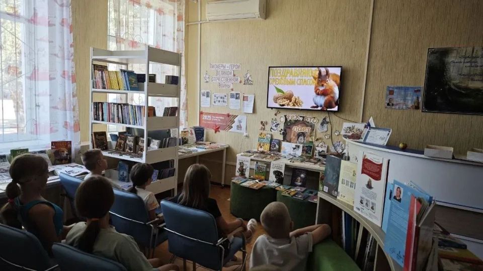       &quot; &quot;      ( )   - &quot; - &quot;