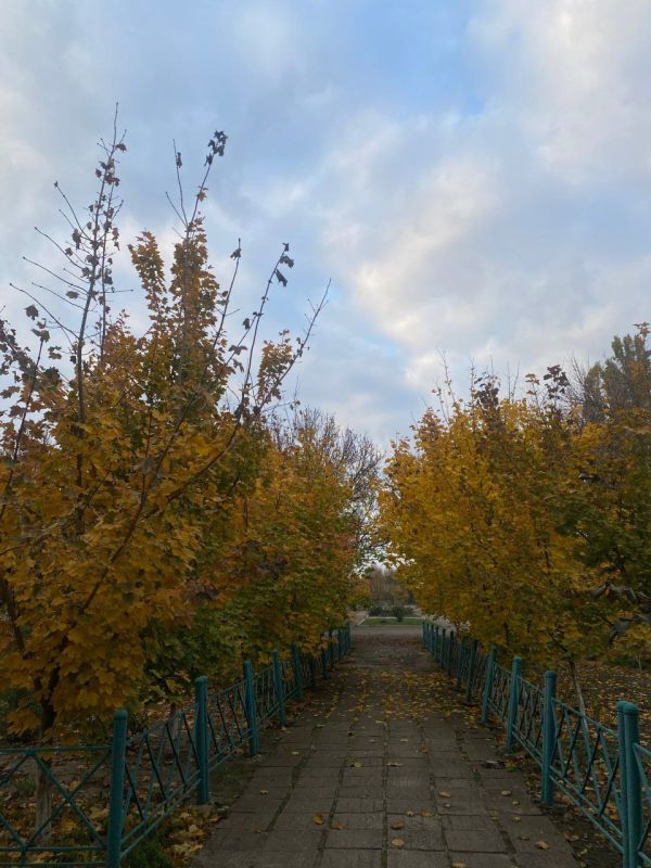  &quot;  -  &quot; -      !      