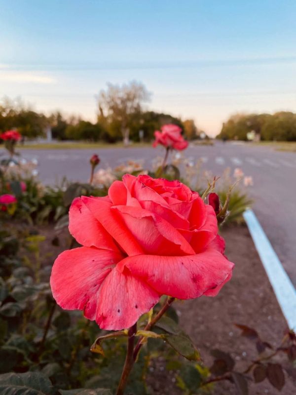  &quot;  -  &quot; -      !      