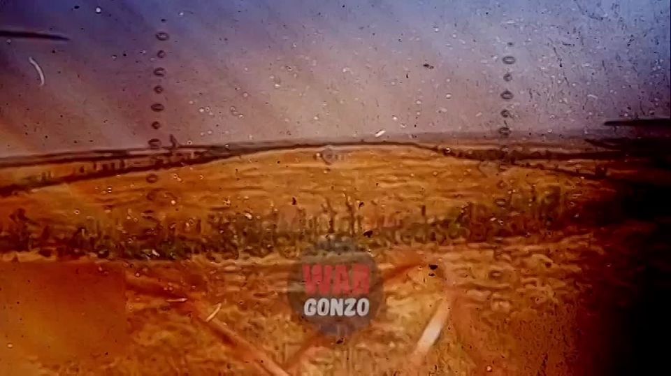 WarGonzo:        