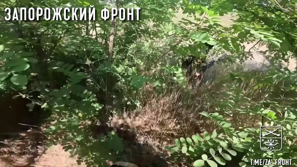        &quot;&quot;       