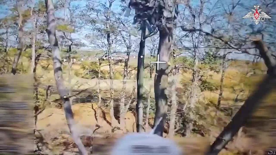  :      
