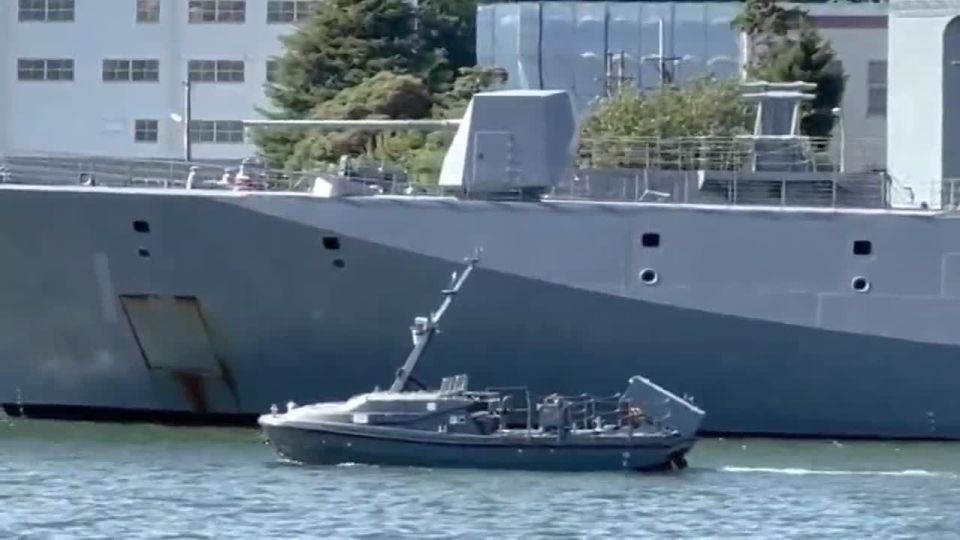          Mogami