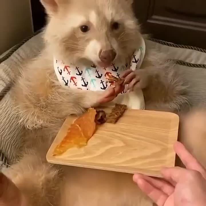  , !      !