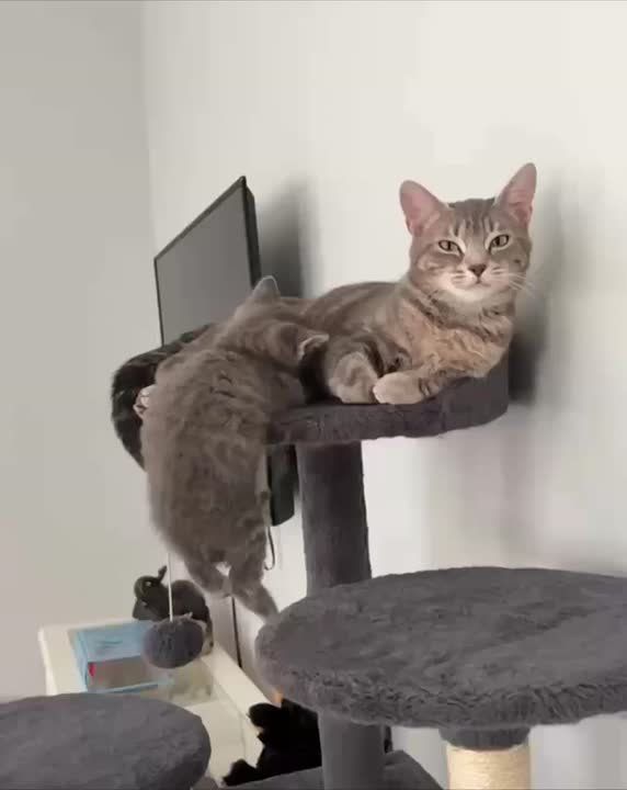 Ты не ты, когда голоден. Плотненько ужинаем, и спать