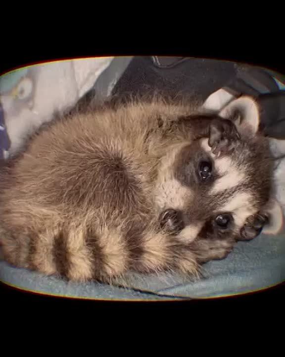 Доброй ночи, дорогие подписчики! Доброй ночи, Запорожье!