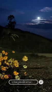 Новый Мелитопольподпишись