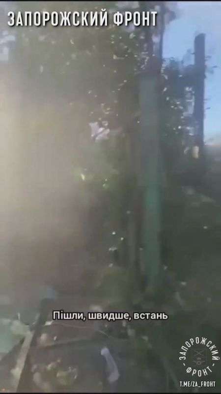 VS  .   2   FPV      