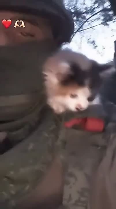   ,  !