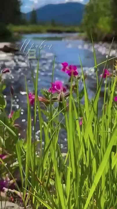   ,  !