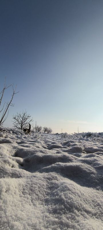 Фотоконкурс: "Любимый поселок в объективе" Фотоконкурс: "Любимый поселок в объективе"