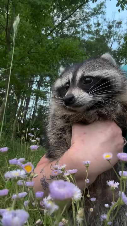  , !      !