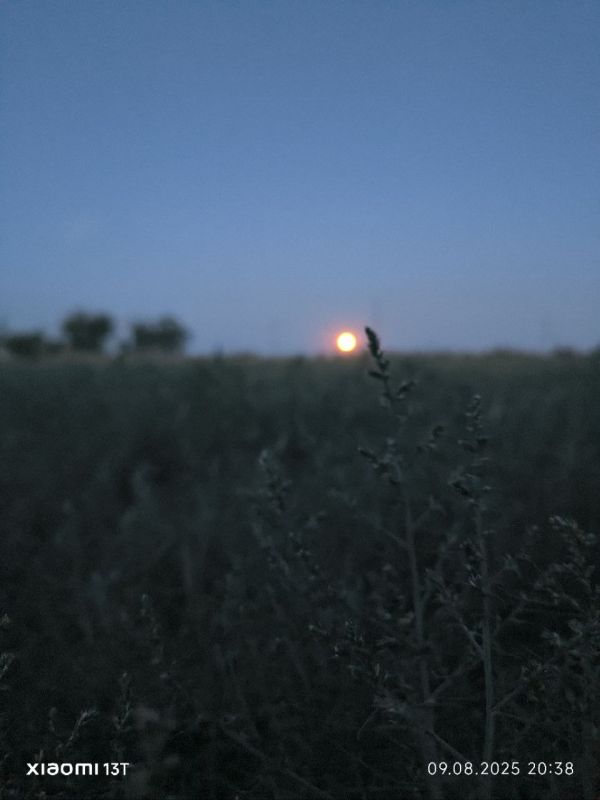 Фотоконкурс: "Любимый поселок в объективе" Фотоконкурс: "Любимый поселок в объективе"