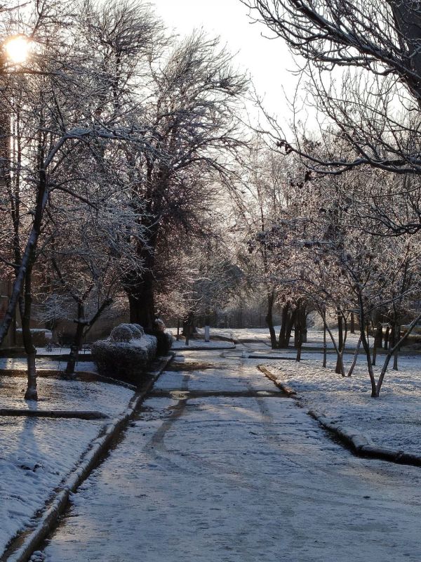 Фотоконкурс: "Любимый поселок в объективе" Фотоконкурс: "Любимый поселок в объективе"