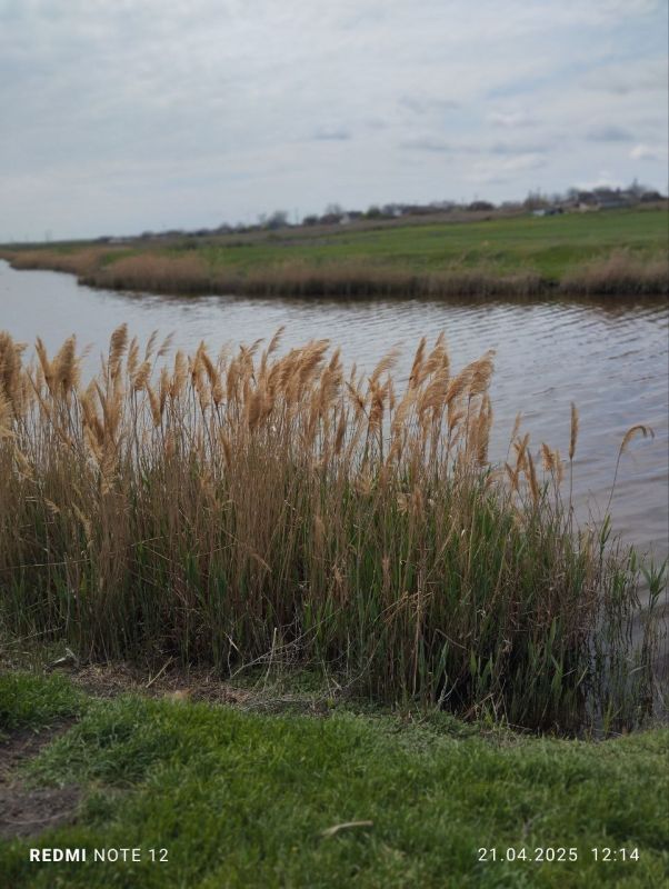 Фотоконкурс: "Любимый поселок в объективе" Фотоконкурс: "Любимый поселок в объективе"