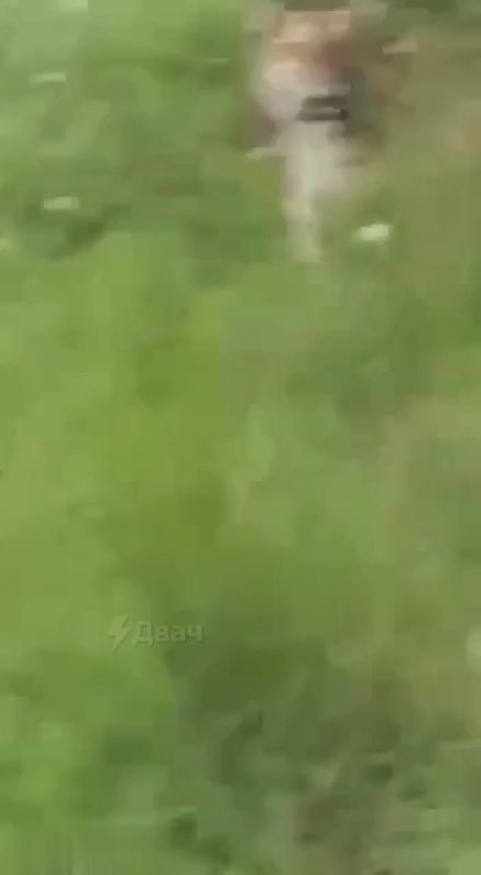   ,  !