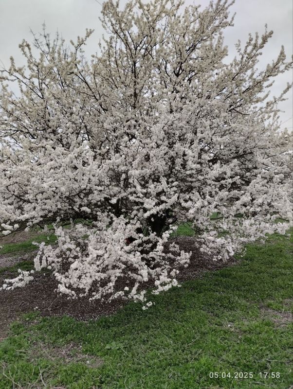 Фотоконкурс: "Любимый поселок в объективе" Фотоконкурс: "Любимый поселок в объективе"