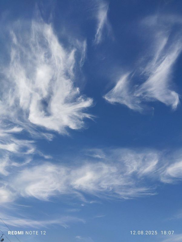 Фотоконкурс: "Любимый поселок в объективе" Фотоконкурс: "Любимый поселок в объективе"