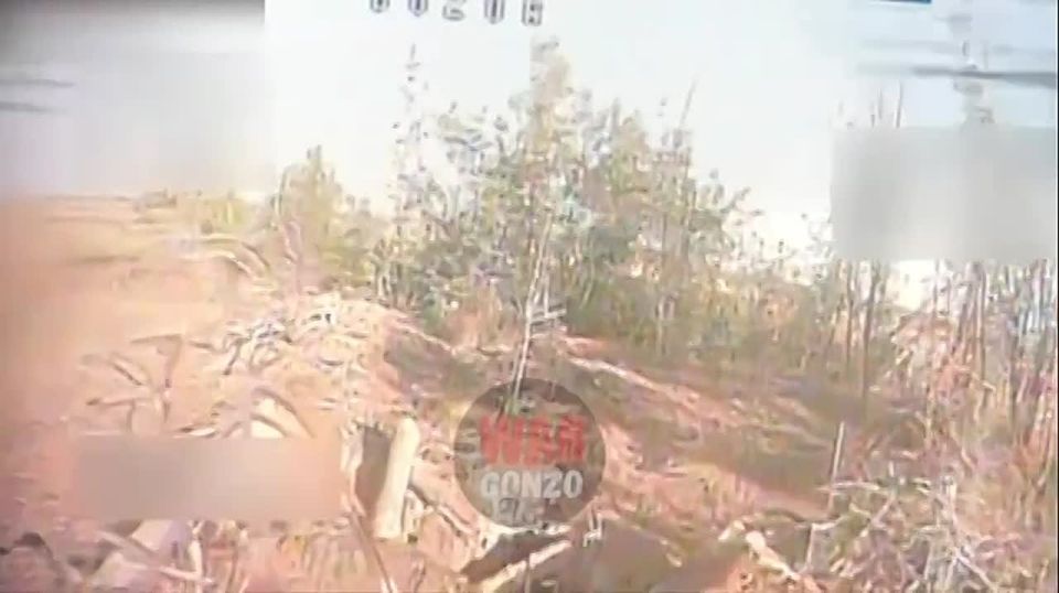 WarGonzo:  vs FPV   ?