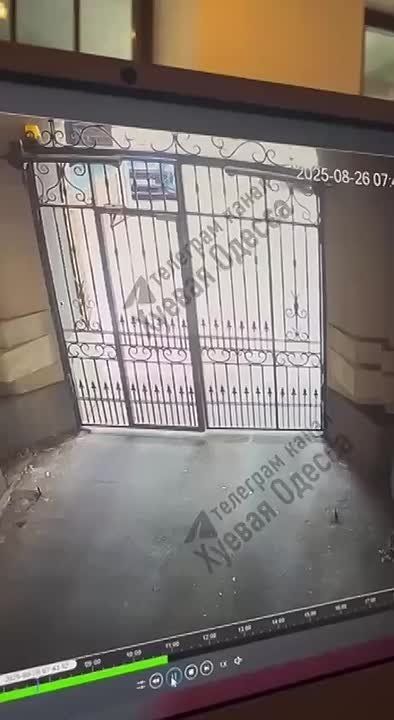          78 IQ  
