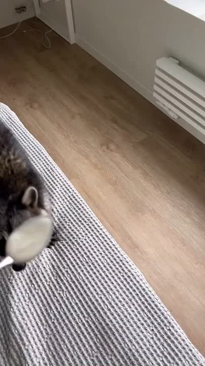  , !      !