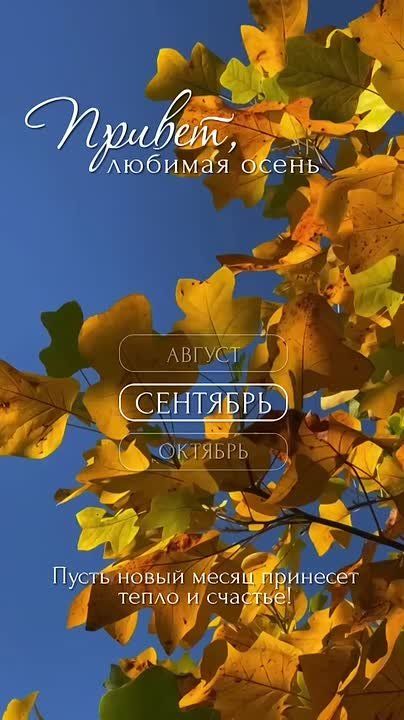   ,  !