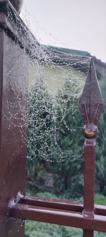 ����������� "������� ������� � ���������"