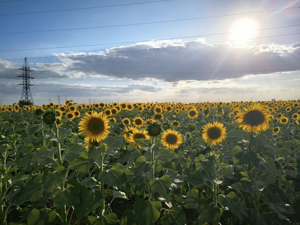 ����������� "������� ������� � ���������"