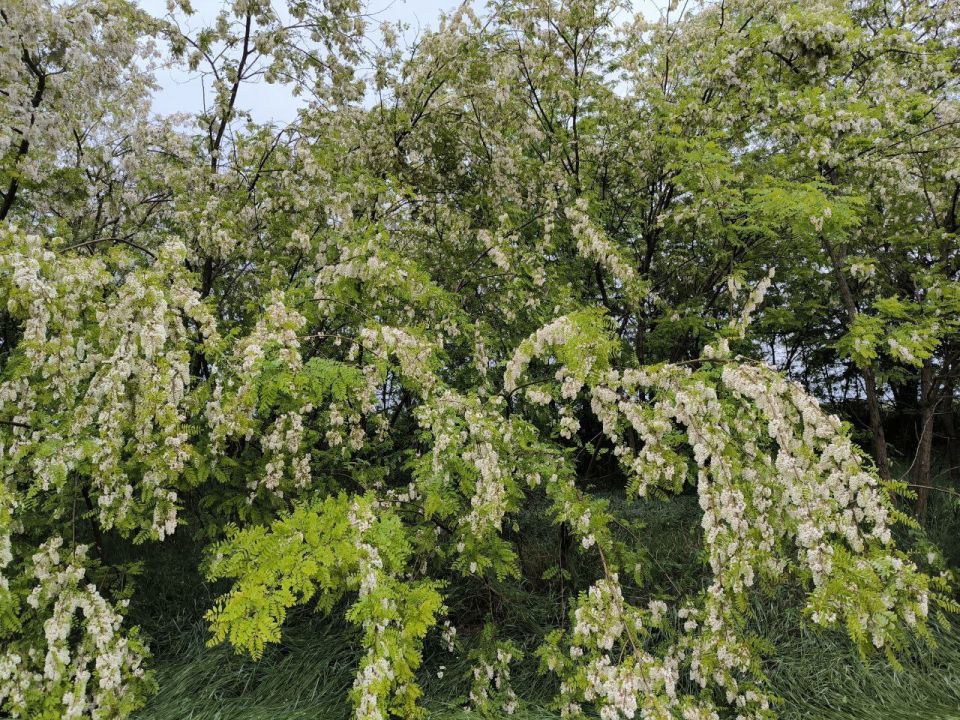 ����������� "������� ������� � ���������"