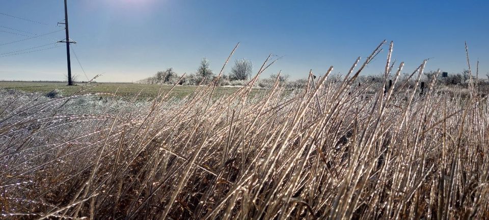 ����������� "������� ������� � ���������"