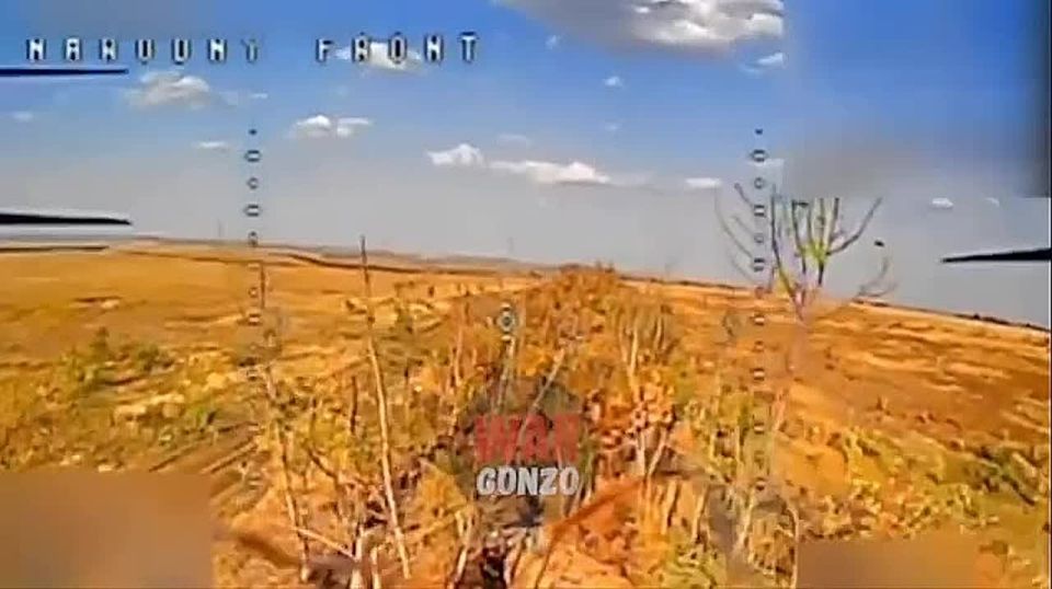 WarGonzo: Группа «Немца» ковыряет позиции жёлто-голубых на Запорожье