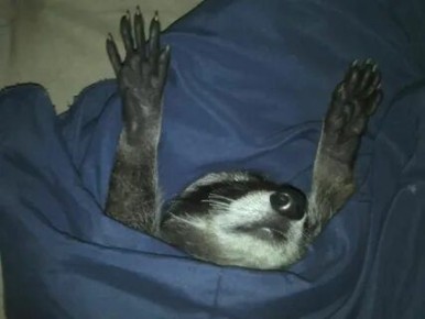  ,  !  , !