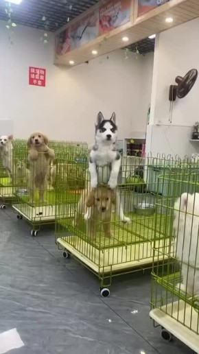 !     !
