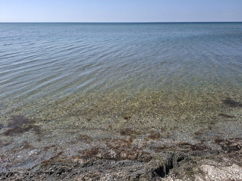 �������� ������������� � ��� ������ � ������ ��������