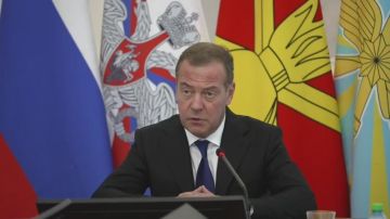 Медведев объявил о начале строительства фортификационных сооружений на границе с Финляндией