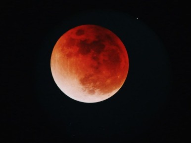     &quot; &quot;       7 