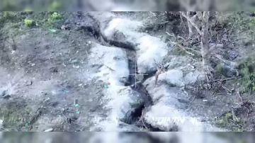 Cмачный прилёт fpv-дрона по отчаянному хлопчику, пытавшемуся до последнего сбить "птицу"