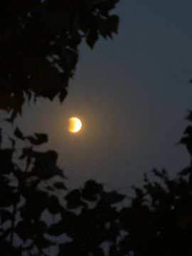 Лунное затмение в небе над Запорожской областью