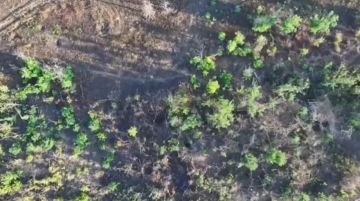 Запорожский фронт.. Нарезка боевой работы нашей артиллерии при поддержки расчётов БпЛА и FPV уничтожающих позиции укрорейха в окрестностях населённого пункта Малая Токмачка