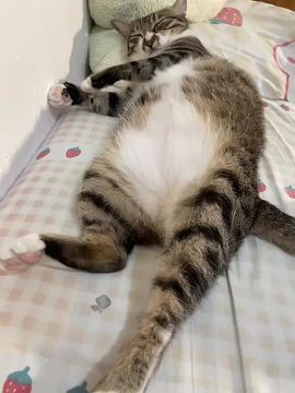 А вот и конец рабочего дня