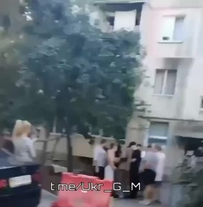   :       ,     