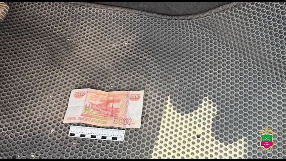 В Запорожской области сотрудники ОСР ДПС ГИБДД задокументировали факт покушения на дачу взятки автоинспектору