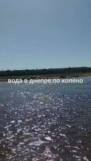   ....      ...      