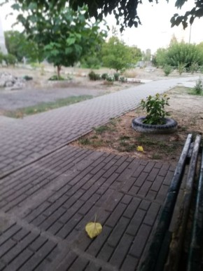   ,   ,     ,   ,        ,     ,  ,    ...